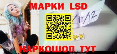 apvp Бийск