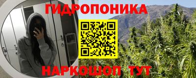 apvp Бийск