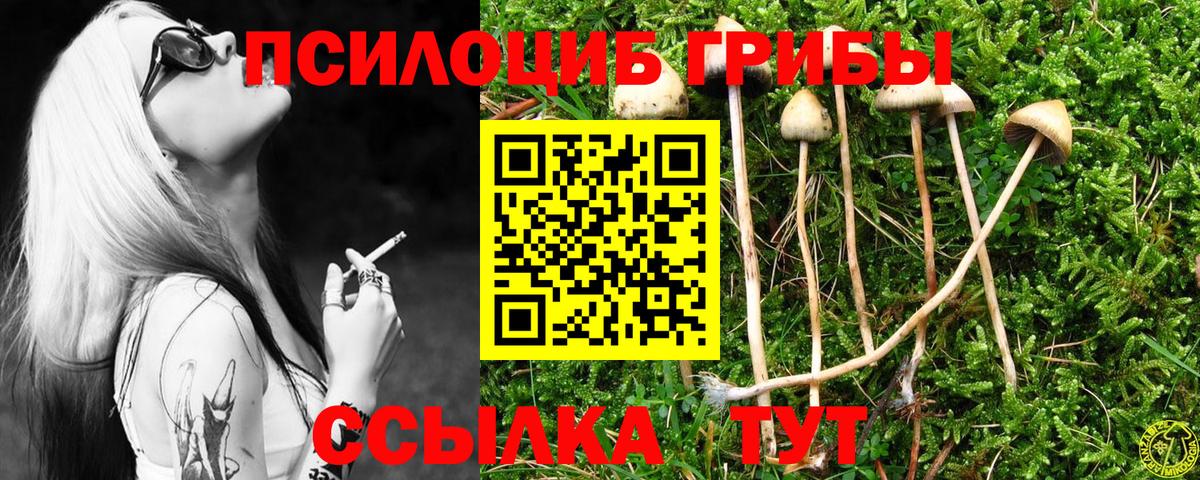 Галлюциногенные грибы GOLDEN TEACHER  Вход с VPN  Кимовск 