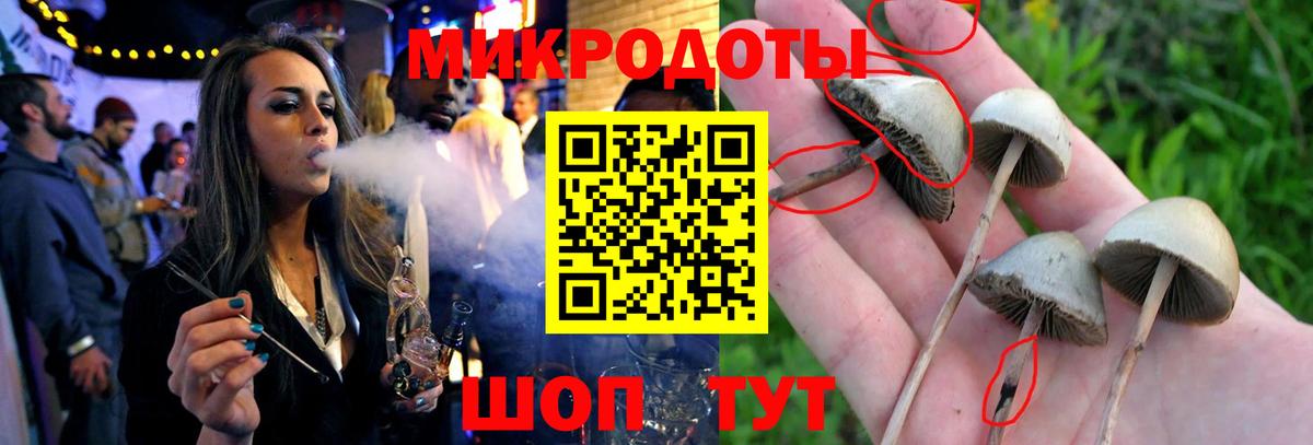 Галлюциногенные грибы GOLDEN TEACHER Кимовск